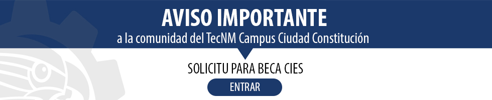 Vinaora Nivo Slider 3.x